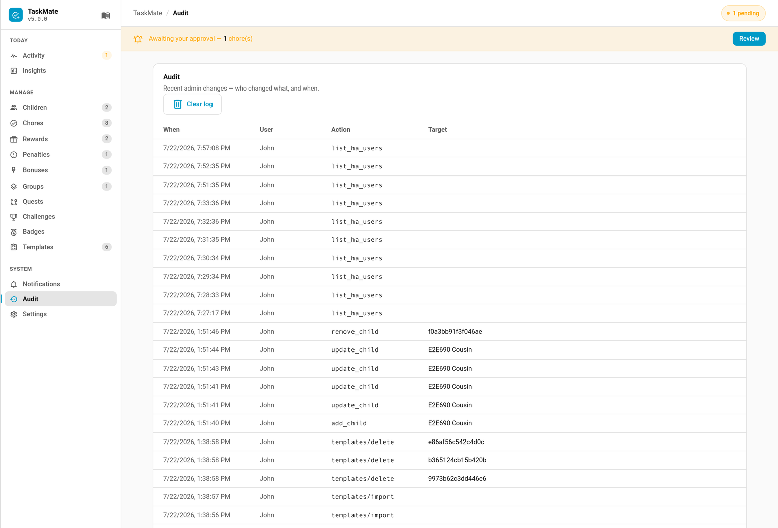 The Audit tab